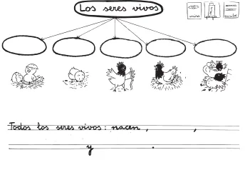 Figura 7