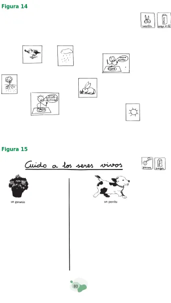 Figura 14