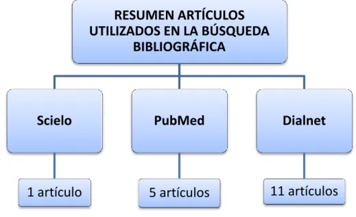 Figura 1: Diagrama de flujo con resumen de los artículos utilizados en la búsqueda bibliográfica 