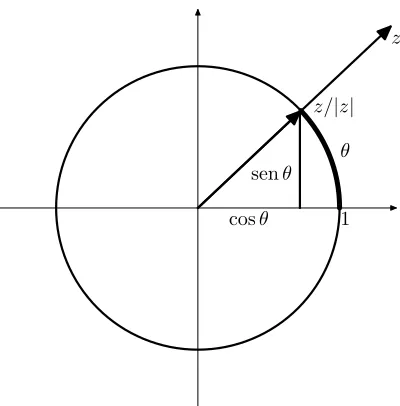 Figura 1.3: Argumento de un complejo z