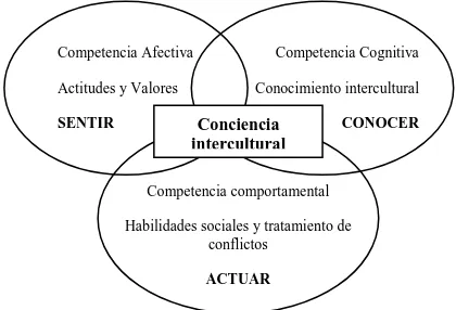 Figura 1: Representación de la Competencia Intercultural (Fuente: Elaboración propia) 