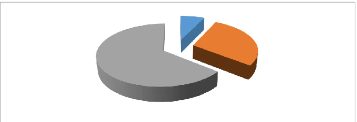 Gráfico N° 5 Ejemplo representación gráfica 
