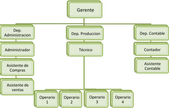 GRÁFICO N° 5 Estructura Orgánica 