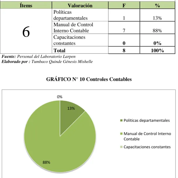 GRÁFICO N° 10 Controles Contables 