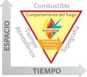 Figura 2. El triángulo del ambiente del fuego. Los combustibles, el estado del tiempo atmosférico y las condiciones topográficas son los factores que determinan cómo se comporta el fuego en un incendio forestal.