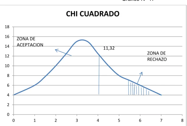 Gráfico N° 17 