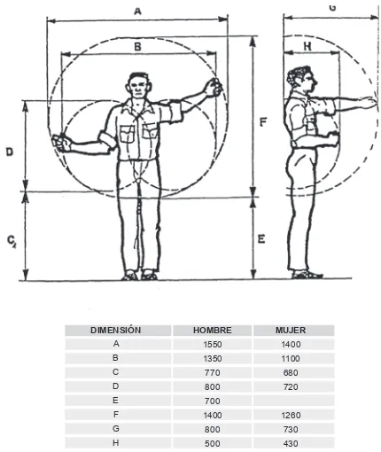 Figura 3.21.  Altura de trabajo en posición de pie (hombres) (Según Stier).