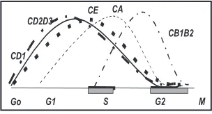 FIGURA  3 