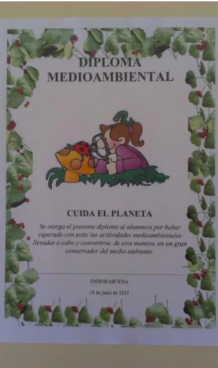 Figura 17: Diploma medioambiental 