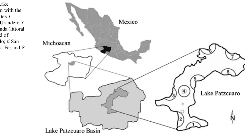 Fig. 1 Map of LakePatzcuaro’s Basin with theeight sampling sites 1Embarcadero; 2 Uranden; 3Napizaro; 4 Pacanda (littoralzone of the island ofJanitzio); 5 Cuello; 6 SanJero´nimo; 7 Santa Fe; and 8Tzintzuntzan