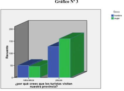 Gráfico Nº 3