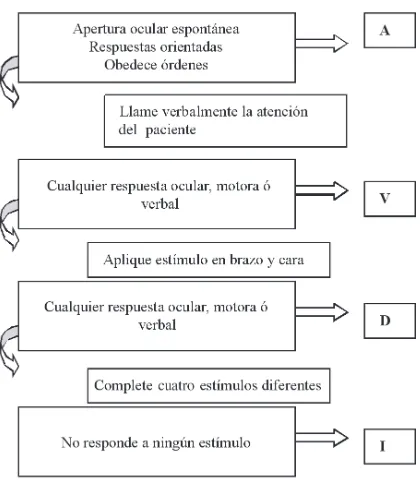 Figura 1. Algoritmo AVDI para valoración neurológica inicial.