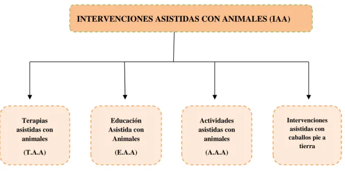Figura 1. Esquema de intervenciones asistidas con animales 