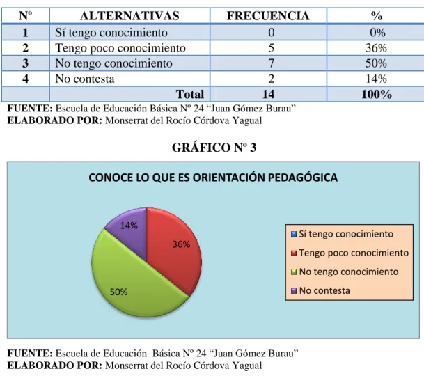 GRÁFICO Nº 3 