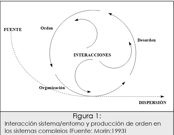 Figura 1: Interacción sistema/entorno y producción de orden en 