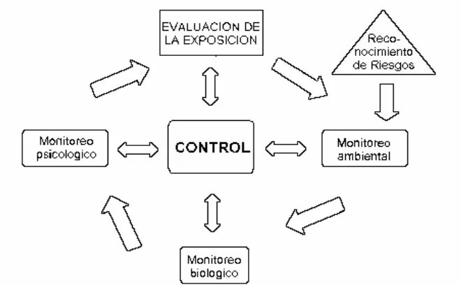 Figura 10- Verificación y Acción Correctiva 