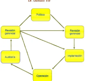 Figura 12- Papel de la revisión gerencial en la realización de un sistema de gestión.  