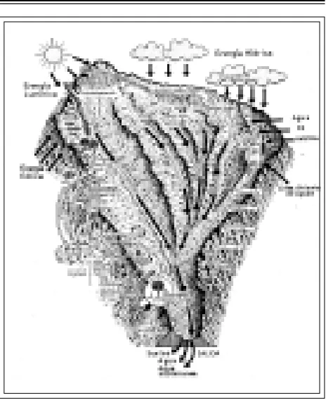 Fig. 15. Esquema de una cuenca hidrográfica.