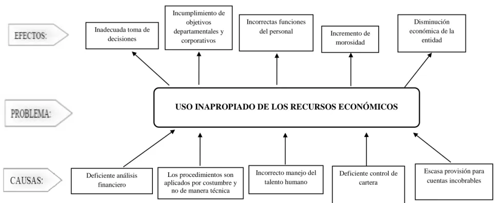 Gráfico N° 01 Árbol de Problemas 