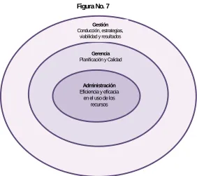 Figura No. 7 