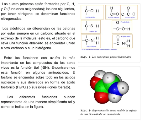 Fig. 8 Los principales grupos funcionales.