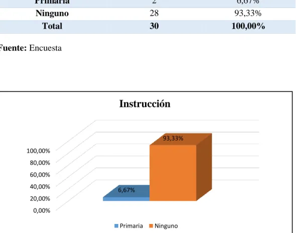 Cuadro Nº 6: Instrucción 