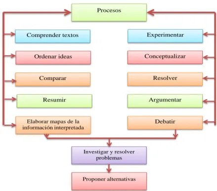 Cuadro N° 1. Actualización curricular.  