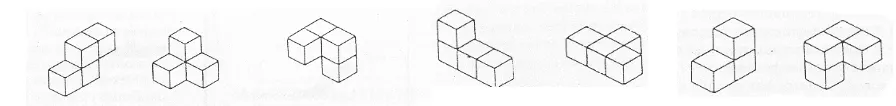 Figura 2: Rompecabezas geométricos 