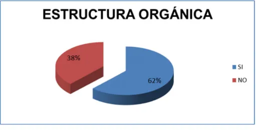 Figura 4. Estructura orgánica 