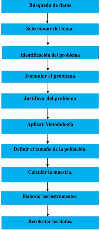 FIGURA 4 Procedimiento de información 