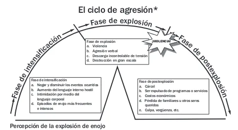 Cuadro gráfico 5. El ciclo de agresión 