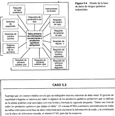 Figura 5-4de datos de riesgos químicos