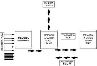 Figura 2.2. Esquema conceptual de la memoria multialmacén.