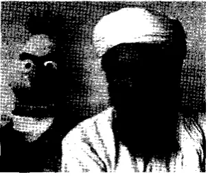 Fig. 1.1. Collage digitalde Dino Ignácio, deBlas deBarrio Sésamo y Osama Bin Laden.