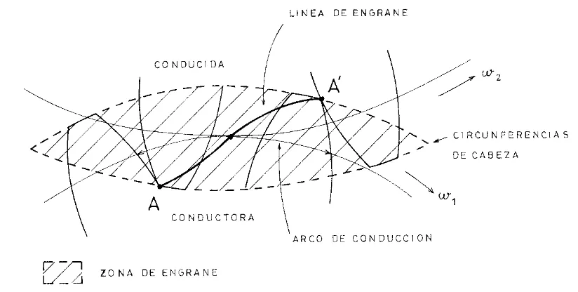 Figura 5. Línea de engrane y ángulo de presión. 