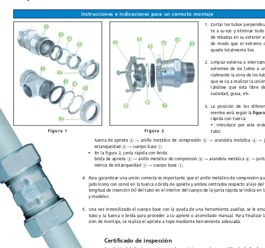 Figura 1