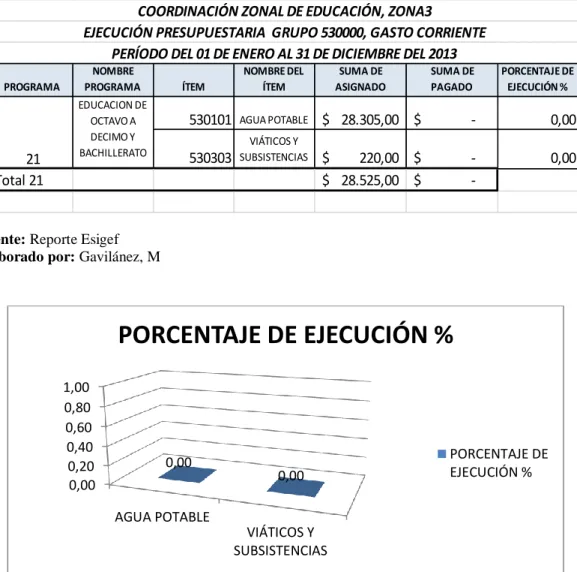 Tabla 4.5. Ejecución Presupuestaria año 2013 programa 21 