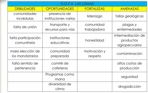 Cuadro 16. Diagnóstico Participativo 