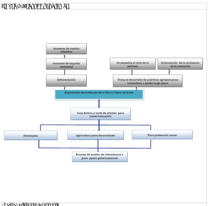 Figura 5. Árbol de problemas