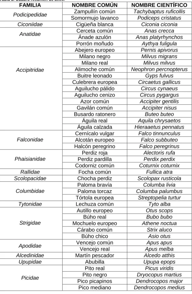 Tabla 3. Cuadro resumen de aves. 