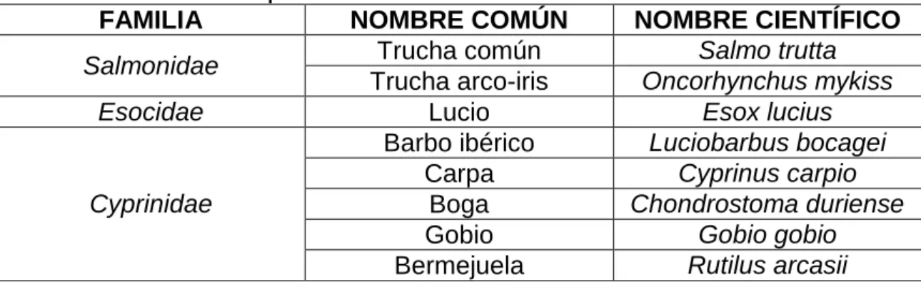 Tabla 5. Cuadro resumen de peces. 