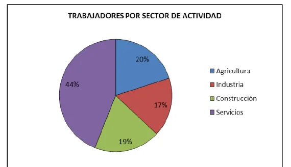Figura 2. Trabajadores por sector de actividad en Medina de Pomar. Fuente: C.Agricultura y Ganadería  y C