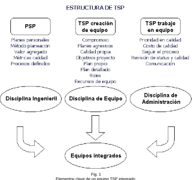 Fig. 1  Elementos clave de un equipo TSP integrado. 