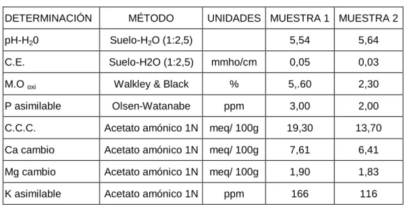 Tabla 10. Interpretación de los resultados. 