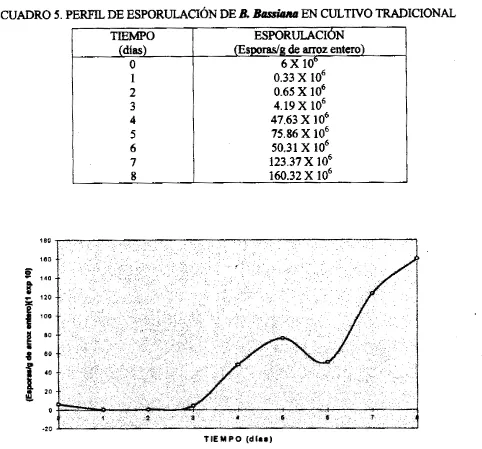 Cuadro 5 y la Gráfica 1. 