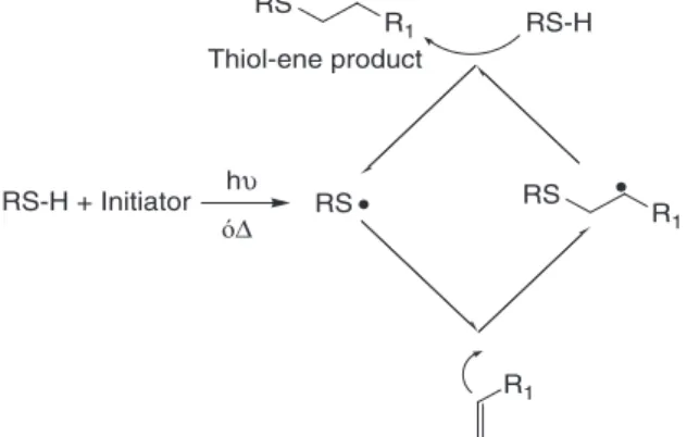 Figure 2. Radical intermediary formed in a terminal double bond dur- dur-ing thiol-eno coupldur-ing.