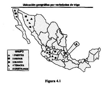 Figura 4.1 