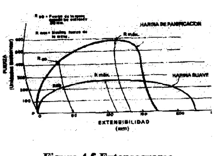 Figura 4.5 Extensograma 