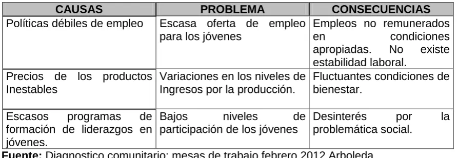 Cuadro 5. Jóvenes  