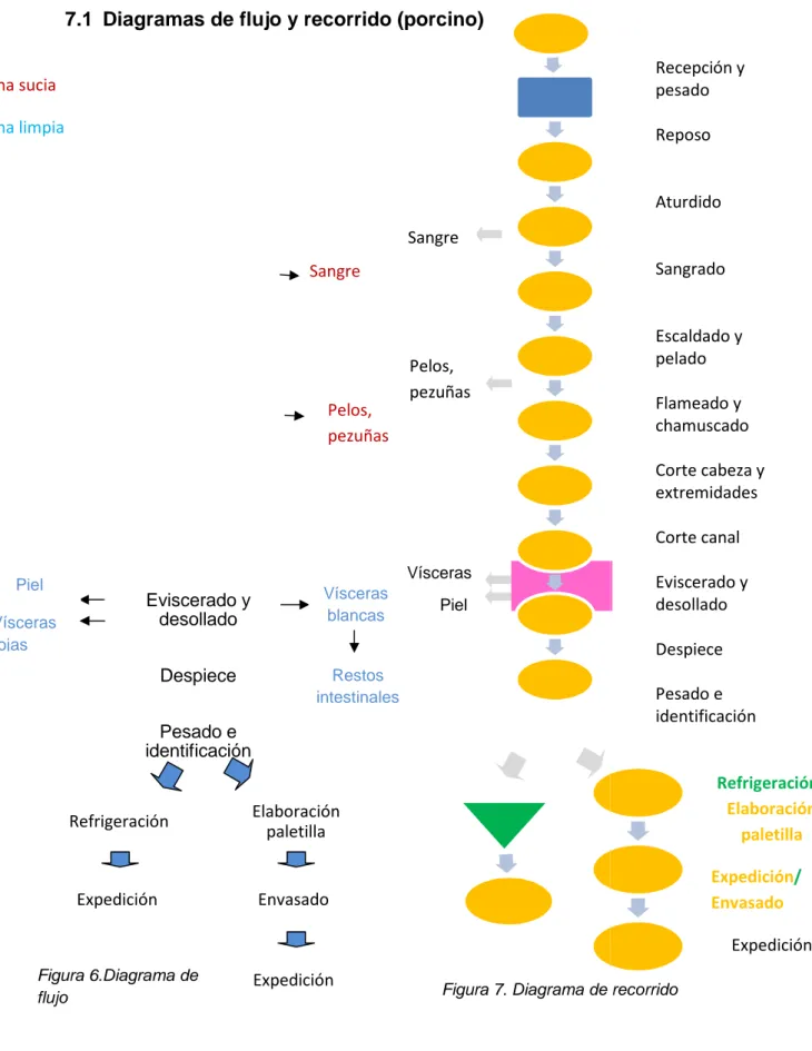 Figura 7. Diagrama de recorridoPelos, pezuñas Sangre  INGENIERÍAS AGRARIAS  iagrama de recorrido  Refrigeración/ Elaboración paletilla Expedición/ Envasado Expedición Recepción y pesado Reposo Aturdido Sangrado Escaldado y pelado Flameado y chamuscado Cort